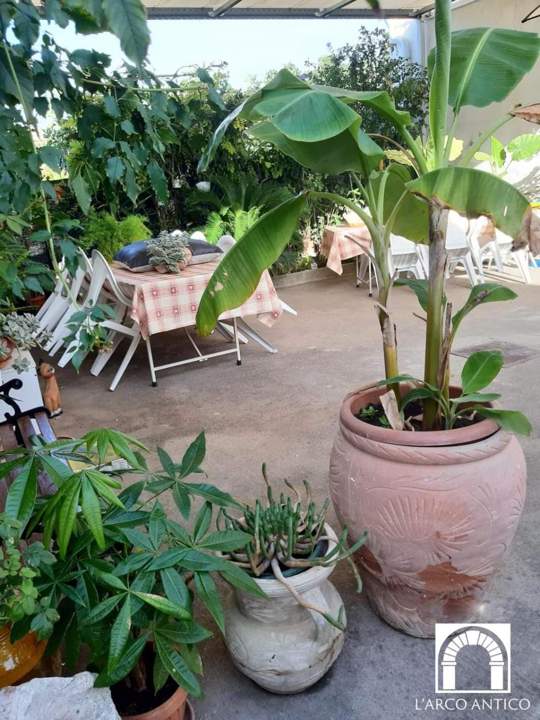 Arco Antico Otel Grassano Dış mekan fotoğraf